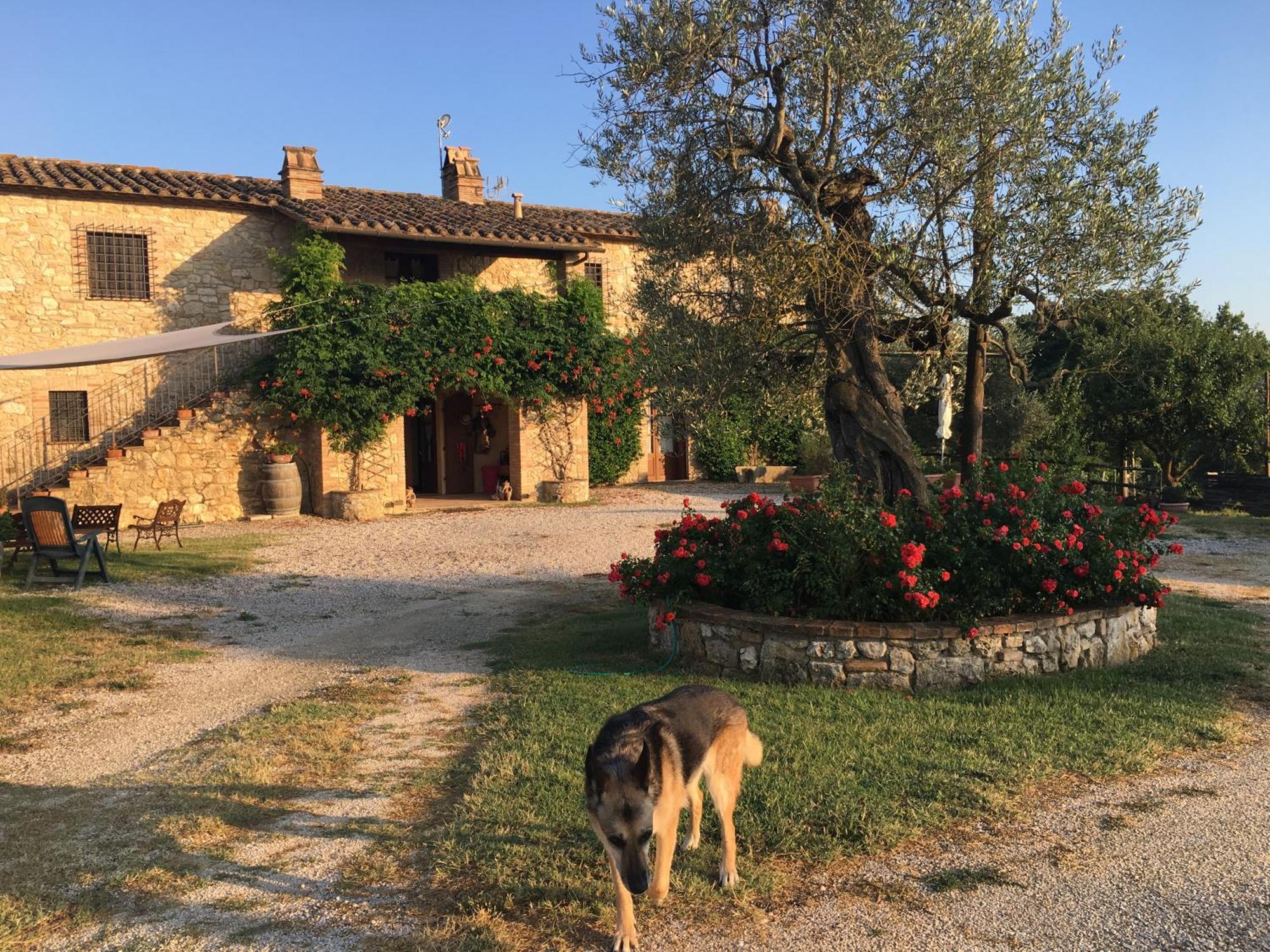 Agriturismo Podere Dell' Olmo อเมเลีย ภายนอก รูปภาพ
