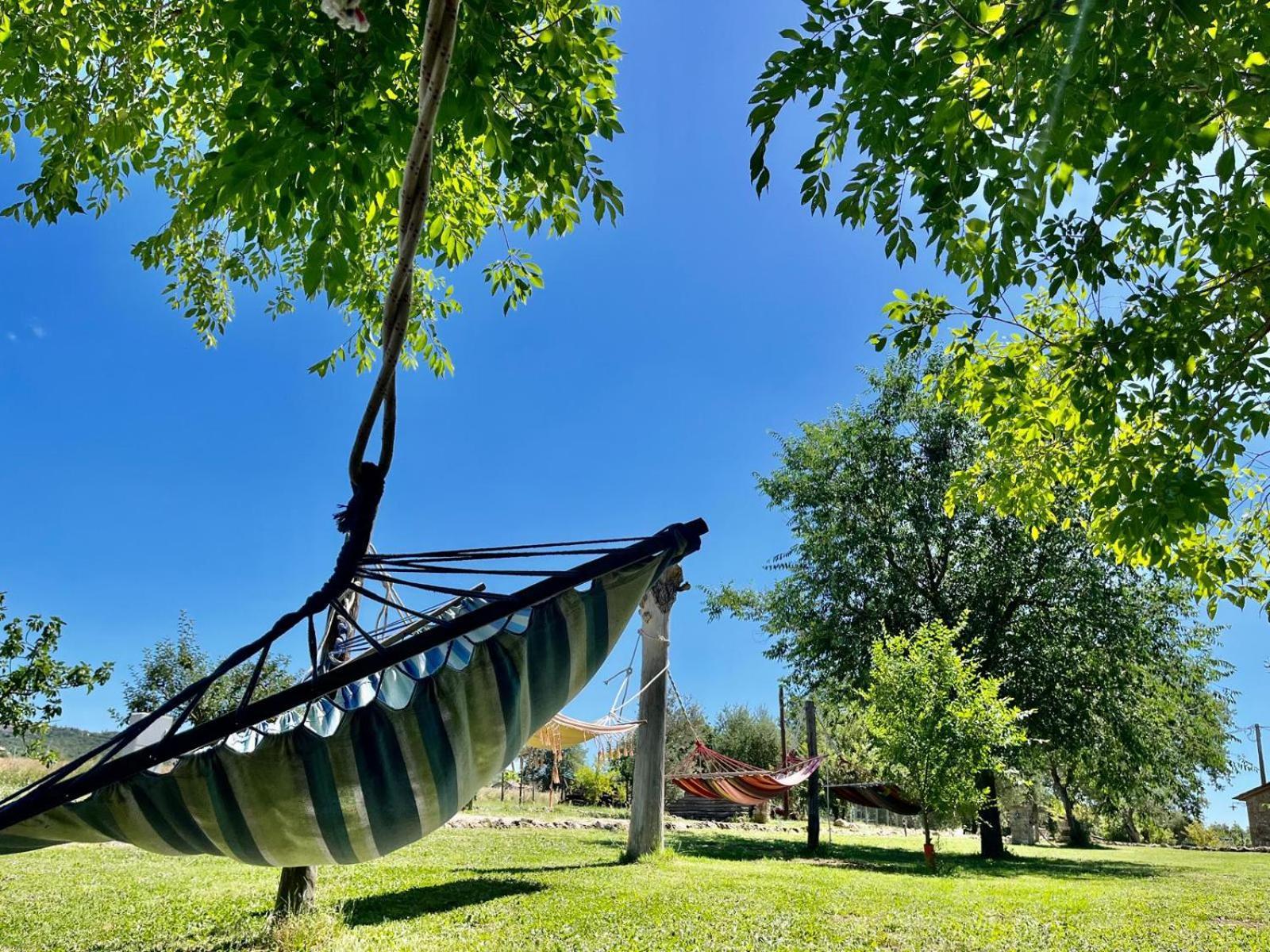Agriturismo Podere Dell' Olmo อเมเลีย ภายนอก รูปภาพ