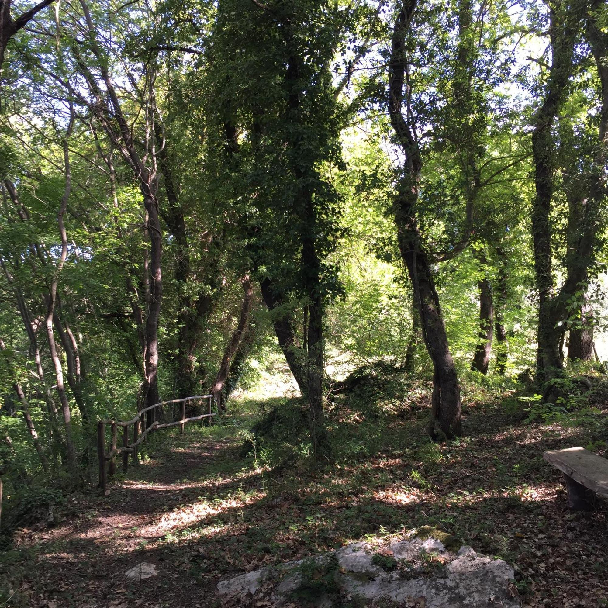 Agriturismo Podere Dell' Olmo อเมเลีย ภายนอก รูปภาพ