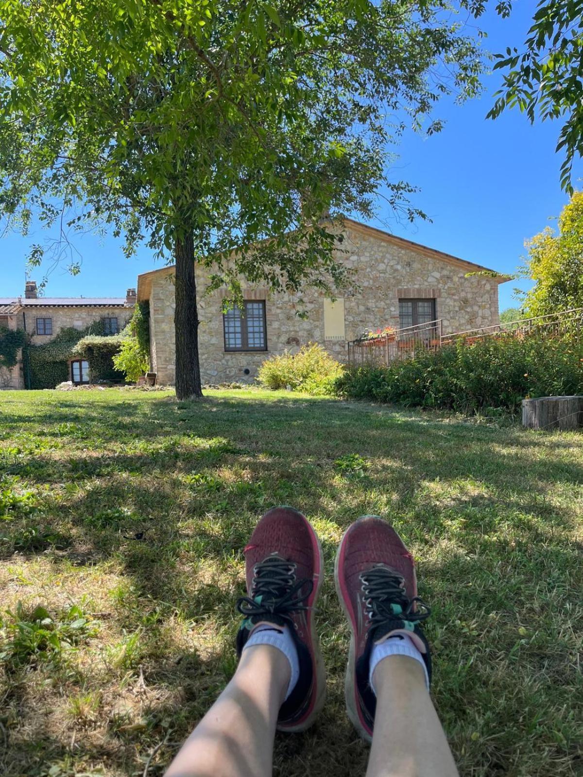 Agriturismo Podere Dell' Olmo อเมเลีย ภายนอก รูปภาพ