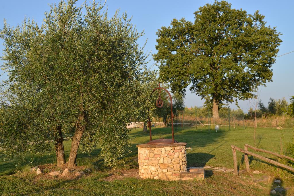 Agriturismo Podere Dell' Olmo อเมเลีย ภายนอก รูปภาพ
