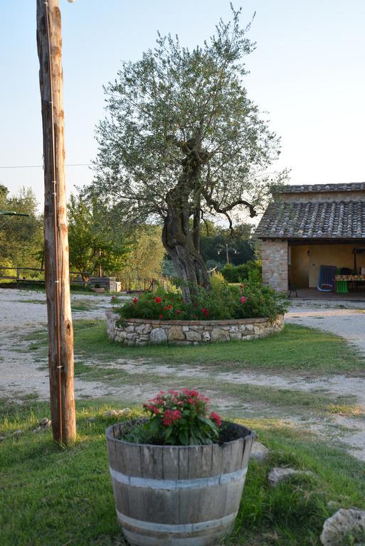 Agriturismo Podere Dell' Olmo อเมเลีย ภายนอก รูปภาพ