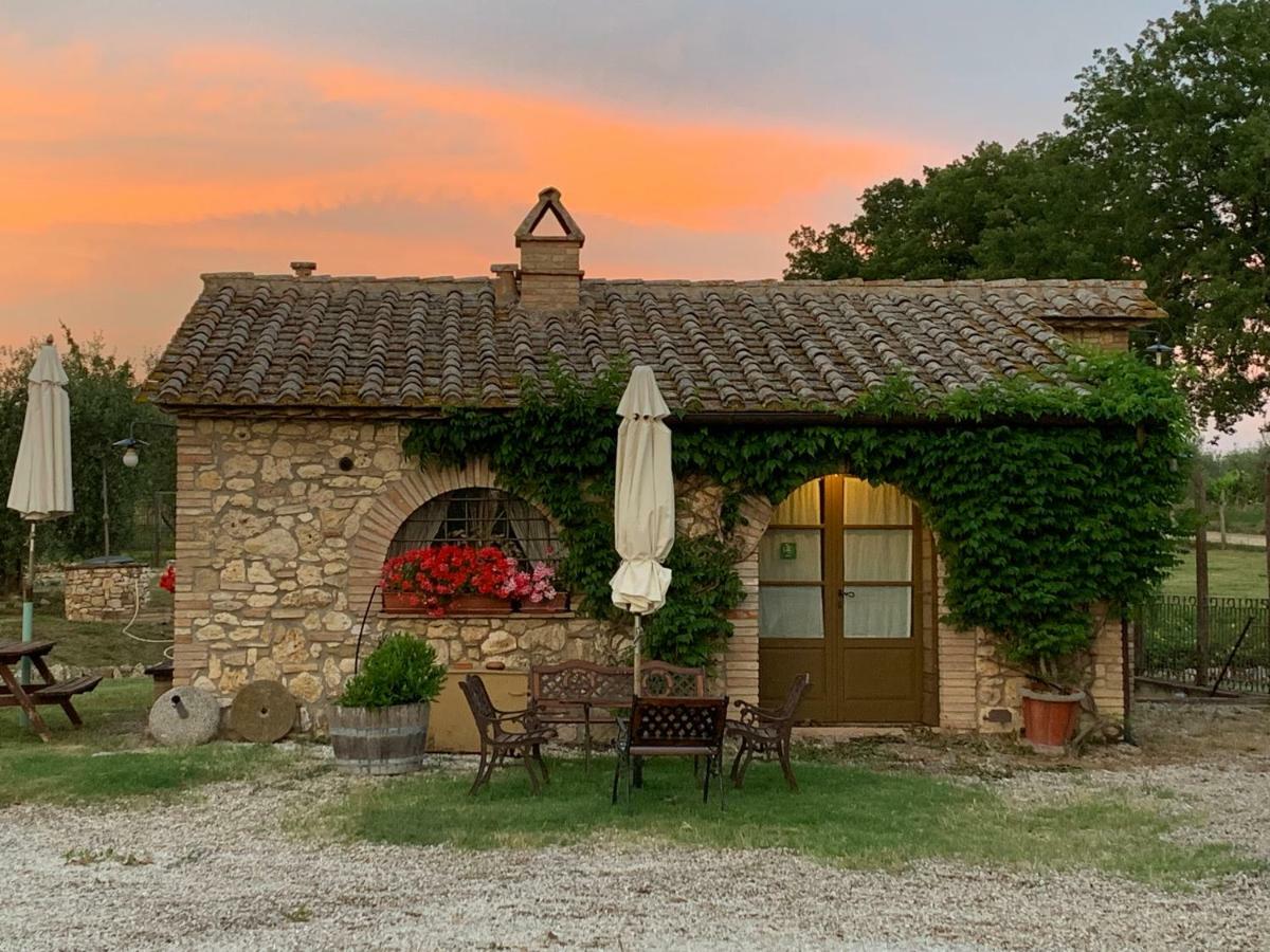Agriturismo Podere Dell' Olmo อเมเลีย ภายนอก รูปภาพ