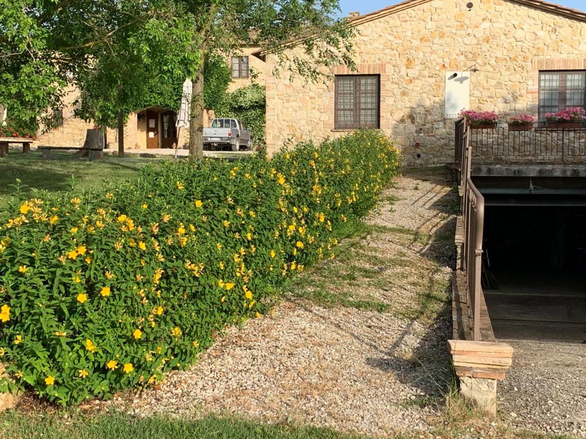 Agriturismo Podere Dell' Olmo อเมเลีย ภายนอก รูปภาพ