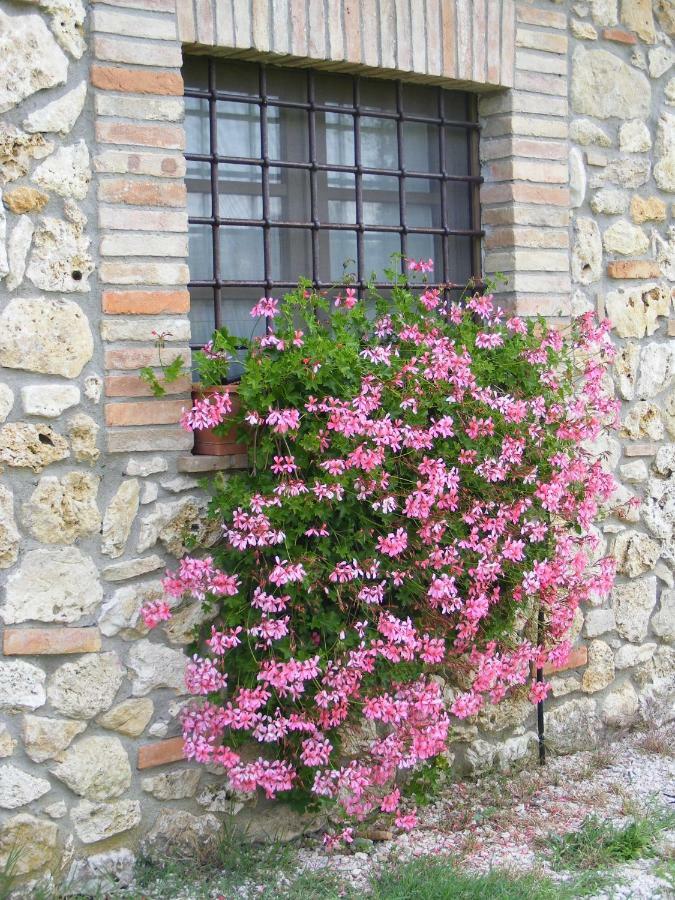 Agriturismo Podere Dell' Olmo อเมเลีย ภายนอก รูปภาพ