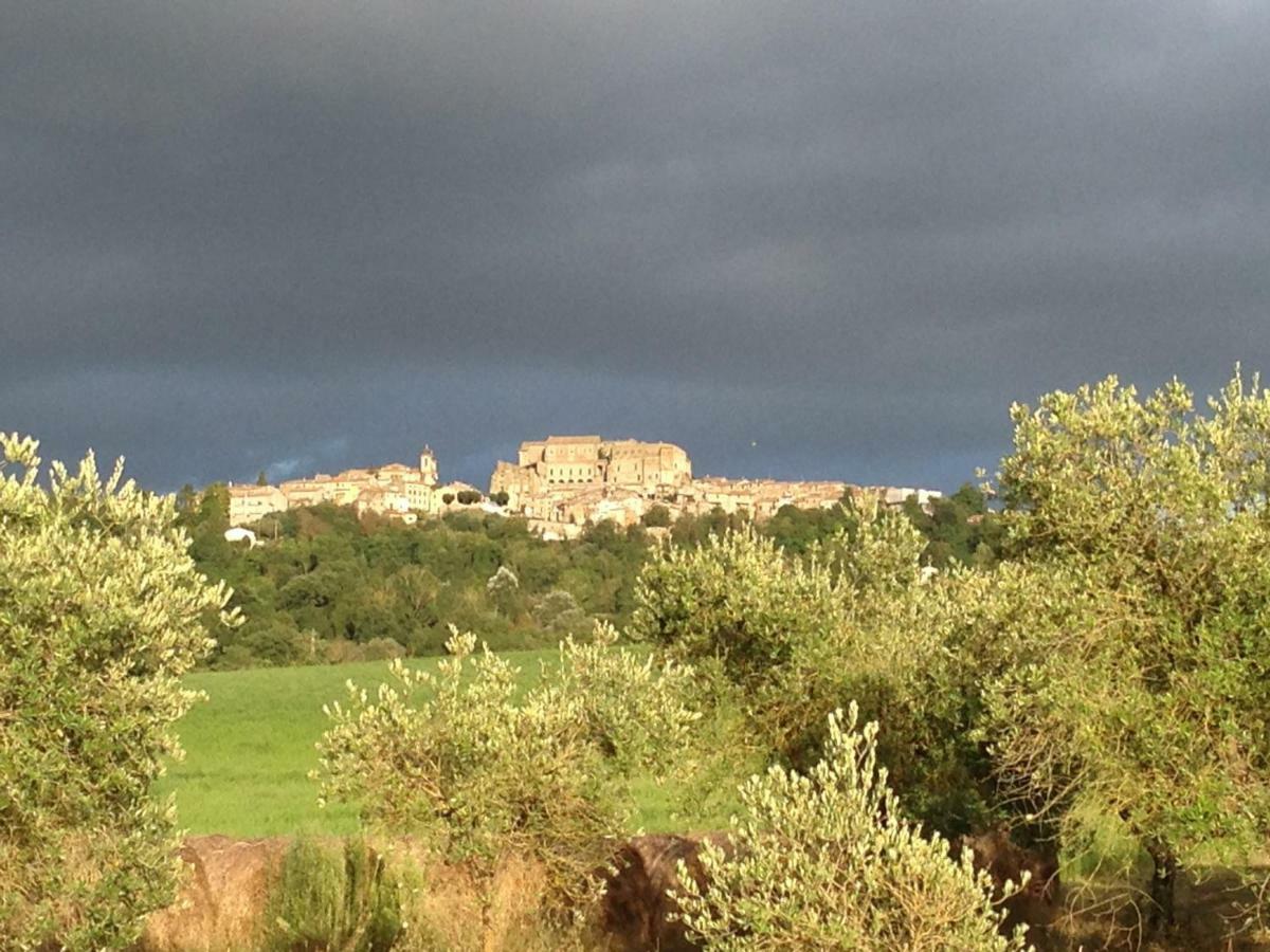 Agriturismo Podere Dell' Olmo อเมเลีย ภายนอก รูปภาพ